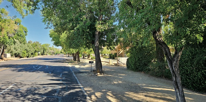 North Central Bridle Path